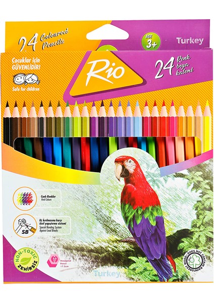 Kuru Boya Kalemi 24'lü