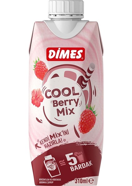 Cool Berry Mix 310 ml