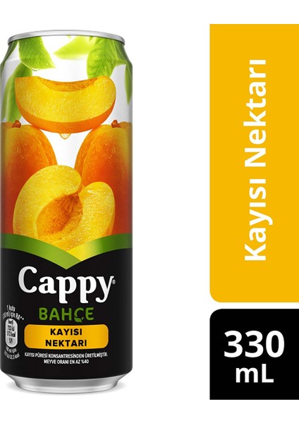 Kayısı Kutu 330 ml
