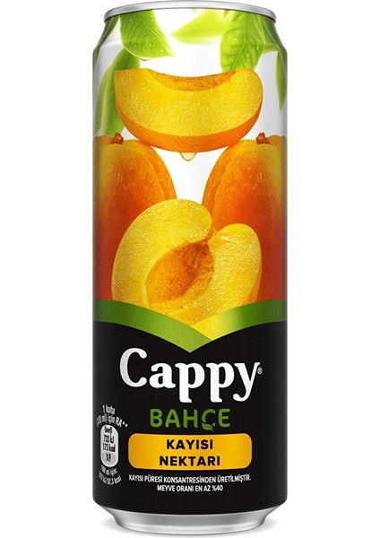 Kayısı Kutu 330 ml
