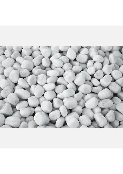 Podima 10 kg Doğal Taş Fındık