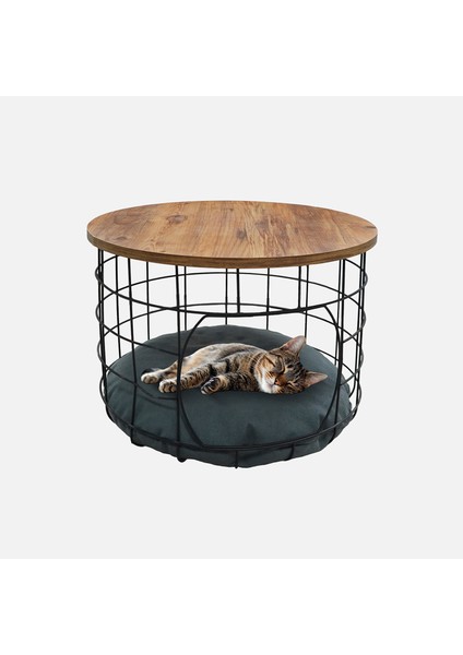 Dekoratif Kedi Yuvalı Sehpa Siyah Atlantik Cam Dekor