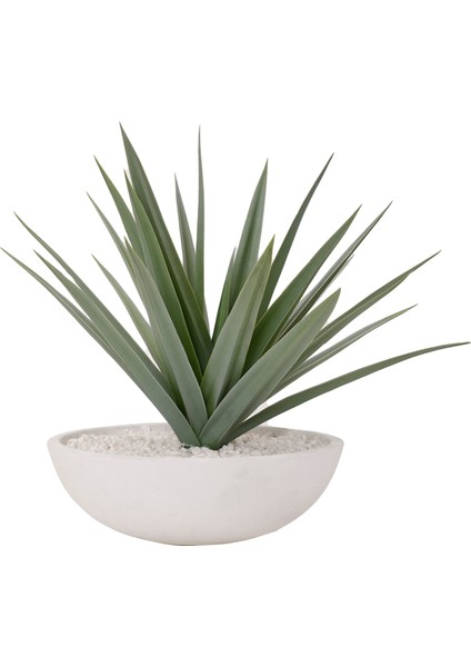 Saksı Bitki (38X43 Cm)