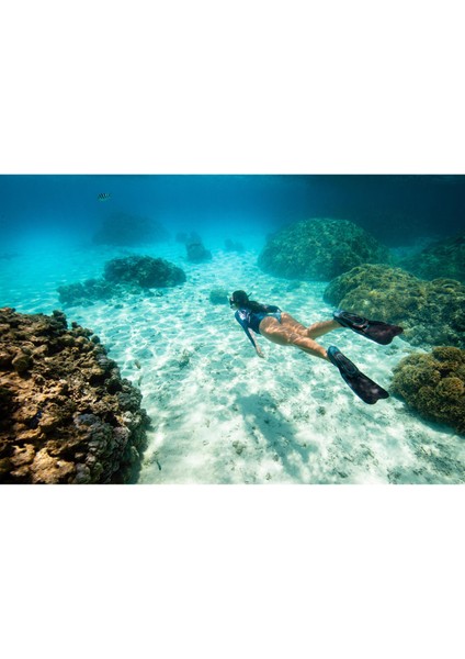 Dalış Paleti - Siyah - Ff 100 Soft fiyatları