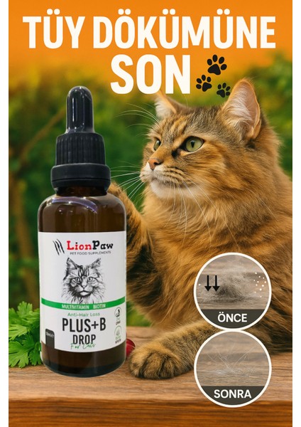 Kediler Için Tüy Sağlığı Destekleyici Multivitamin Kedi Tüy Dökümü Önleyici Damla Biyotin 50 ML