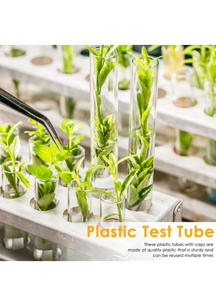 100 Adet 12X100MM Şeffaf Laboratuvar Şeffaf Plastik Test Tüpleri Kapaklı Şişeler Okul Laboratuvar Malzemeleri (Yurt Dışından) indirimleri