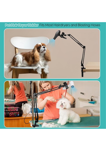 Köpek Saç Kurutma Makinesi Tutucu, 360° Dönebilen Eller Serbest Evcil Hayvan Kurutma Makinesi Tutucu, Ayarlanabilir Kelepçeli, Çoğu Saç Kurutma Makinesine Uygun (Yurt Dışından) fiyatları
