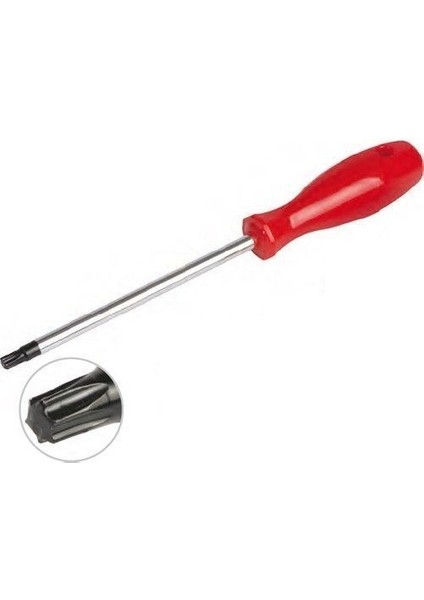 Torx Tornavida T30 Kaliteli (Lisinya)
