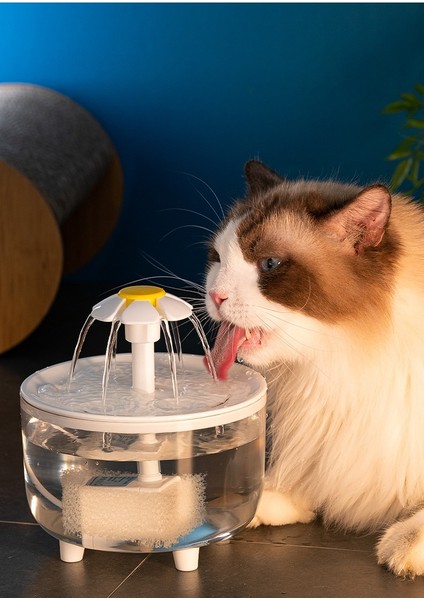 Kedi Çiçek Döngüsü Su Pınarı Otomatik Filtre Malzemeleri (Yurt Dışından) fiyatları