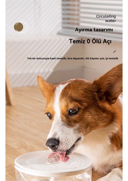 Kedi Çiçek Döngüsü Su Pınarı Otomatik Filtre Malzemeleri (Yurt Dışından) indirimleri