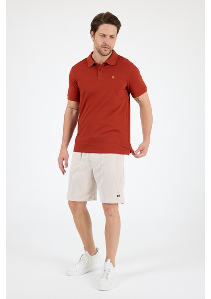 %95 Pamuk %5 Elastan Slim Fit Kısa Kollu Rahat Kumaş Nefes Alabilir Erkek Polo Yaka T-Shirt 0002 fiyatları