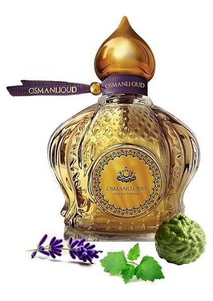 Warriors Cenk EDP 65 ML Erkek Parfümü – Aromatik – 4127