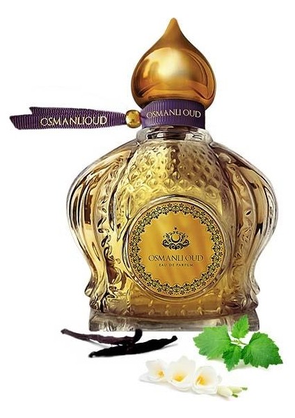 Warriors Efdal EDP 65 ML Kadın Parfümü – Meyveli – 4412