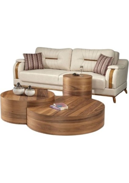 Walnut Ceviz Orta Sehpa Takımı fırsatları