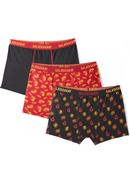 Galatasaray 3'lü Çocuk Boxer C242306