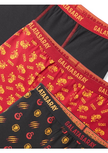 Galatasaray 3'lü Çocuk Boxer C242306