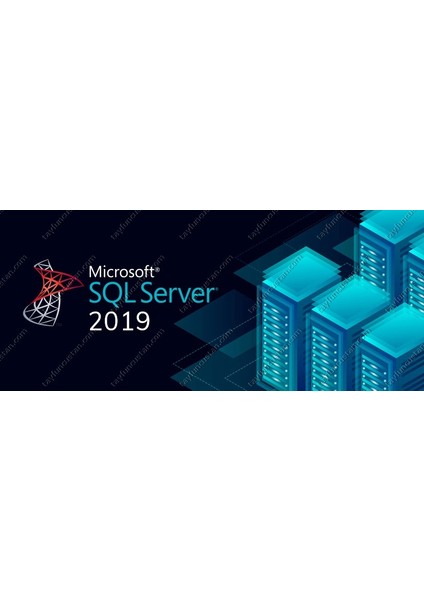 Sql Server 2019 Standard Dijital Lisans