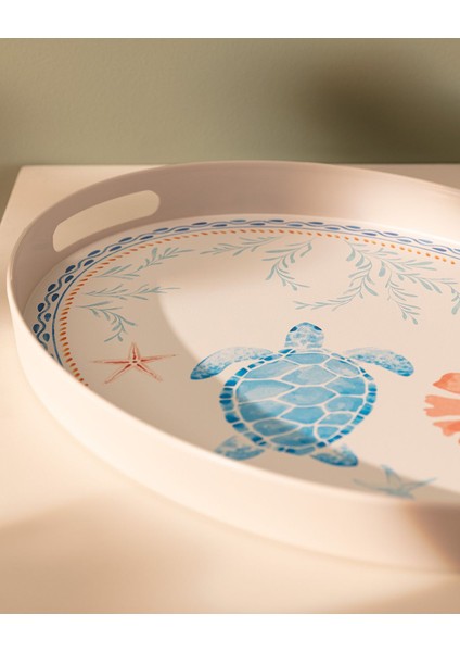 Turtle Oval Tepsi fiyatları