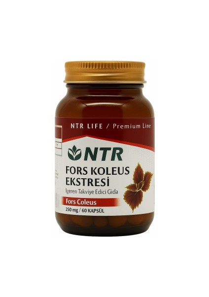 Ntr Fors Koleus Ekstersi