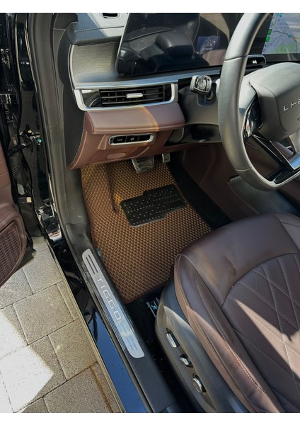 Citroen C4X Model Yeni Nesil Oto Paspas