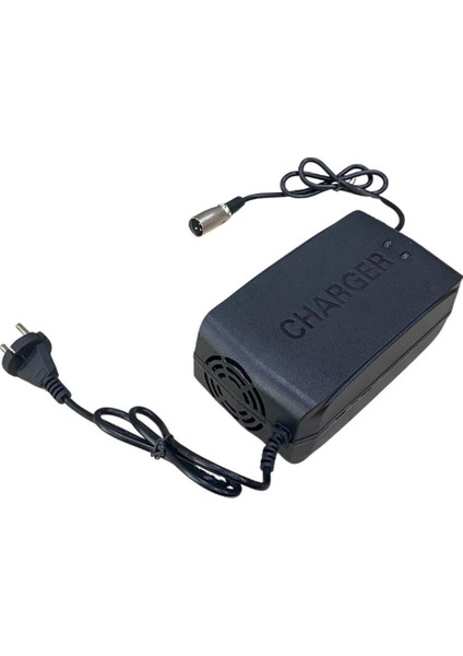 24V Engelli Aracı Şarj Redresörü (Akü Şarj Cihazı) (Adaptörü) Otomatik Işıklı (10 A)