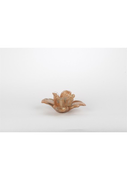 Somon Çiçek Cam Dekoratif 16X7CM