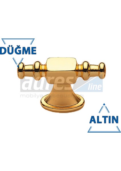 Ilgaz Düğme 4'lü Altın