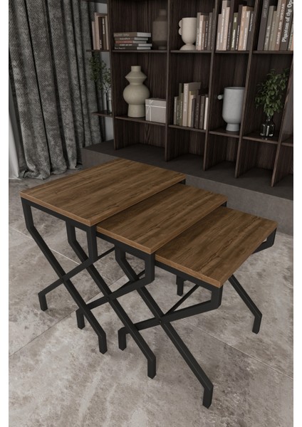 Lotus 3'lü Zigon Sehpa Orta Sehpa Dekoratif 3 Boy Ofis Sehpası Salon Sehpası Çok Fonksiyonlu