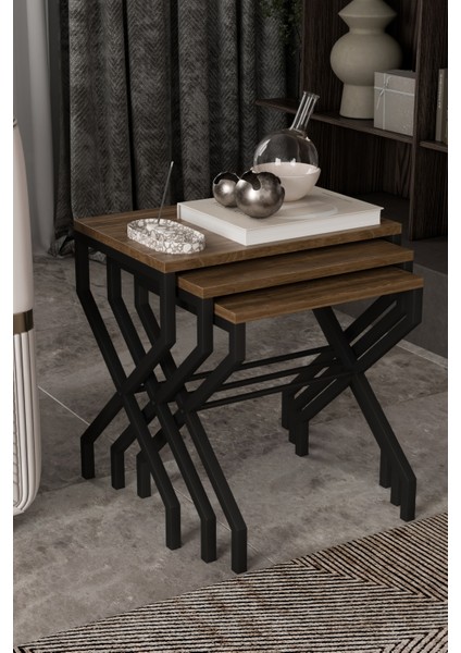 Lotus 3'lü Zigon Sehpa Orta Sehpa Dekoratif 3 Boy Ofis Sehpası Salon Sehpası Çok Fonksiyonlu fiyatları