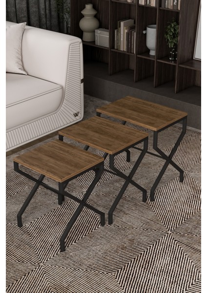 Lotus 3'lü Zigon Sehpa Orta Sehpa Dekoratif 3 Boy Ofis Sehpası Salon Sehpası Çok Fonksiyonlu modelleri