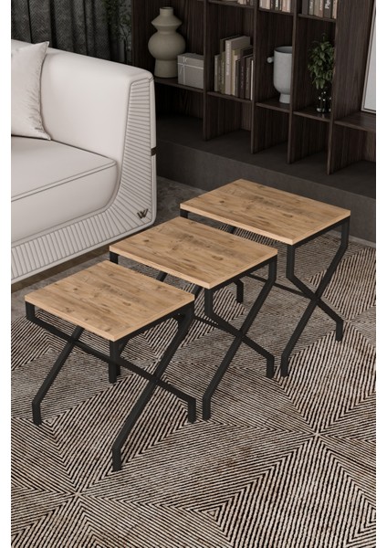 Lotus 3'lü Zigon Sehpa Orta Sehpa Dekoratif 3 Boy Ofis Sehpası Salon Sehpası Çok Fonksiyonlu MEŞE fiyatları