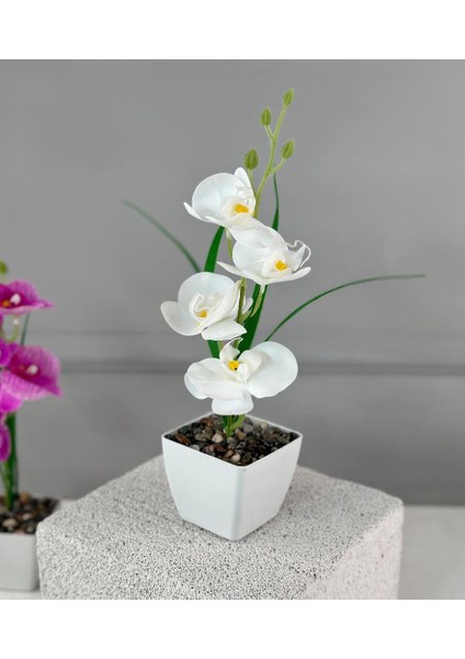 Saksıda Yapay Mini Islak Orkide 30 cm Beyaz