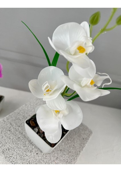 Saksıda Yapay Mini Islak Orkide 30 cm Beyaz fiyatları