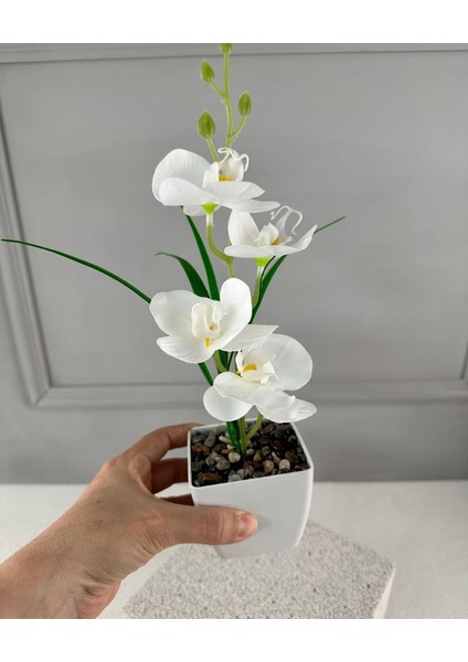 Saksıda Yapay Mini Islak Orkide 30 cm Beyaz modelleri