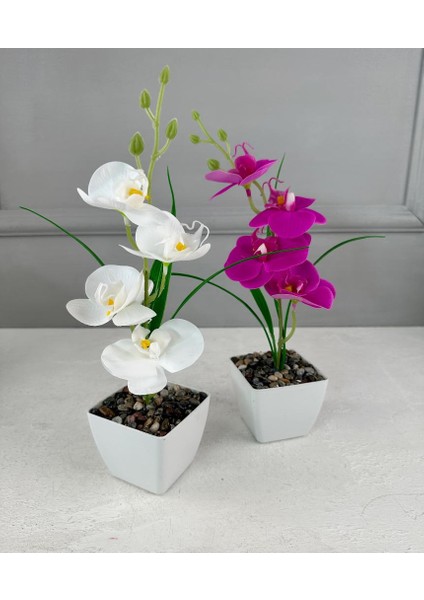 Saksıda Yapay Mini Islak Orkide 30 cm Beyaz fırsatları