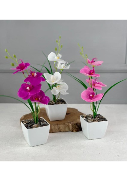 Saksıda Yapay Mini Islak Orkide 30 cm Beyaz indirimleri