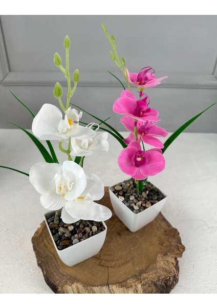 Saksıda Yapay Mini Islak Orkide 30 cm Beyaz