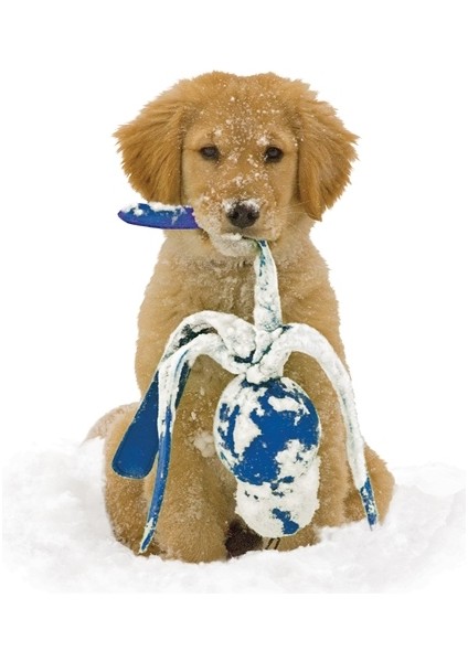 Wubba Sesli Köpek Oyuncağı XL 43cm indirimleri