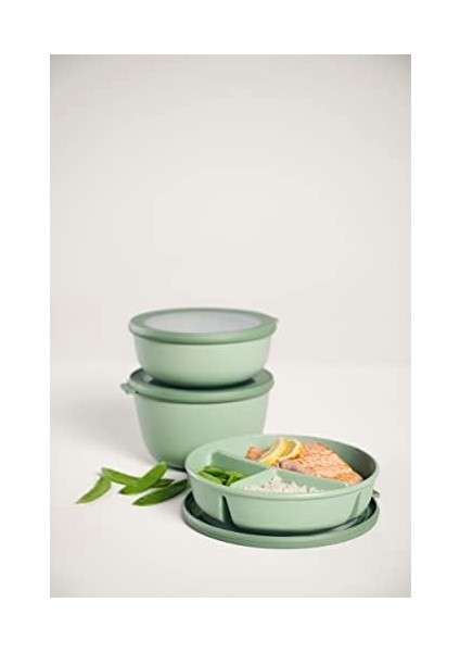 Bento Bowl Cirqula (250+250+500 Ml)
