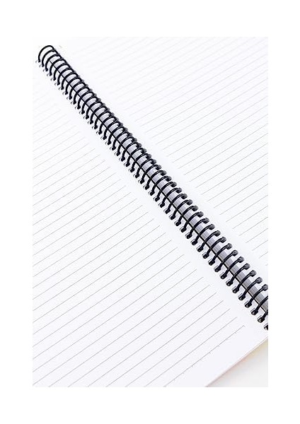 Pruva Ofis Serisi, A4 120 Yaprak Çizgili Karton Kapaklı Pet Spiralli Defter, Bej