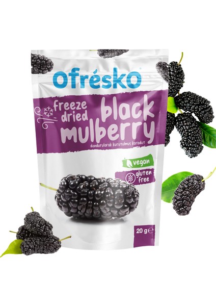 Karadut Kuru Meyve Cipsi 20 gr – İlave Şekersiz & Katkısız - Dondurularak Kurutulmuş Sağlıklı Atıştırmalık – Freeze Dried Karadut