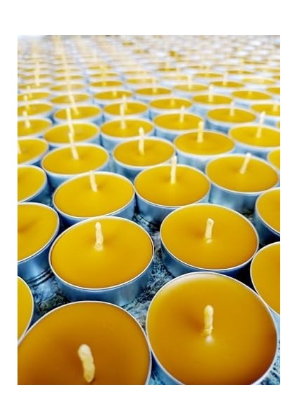 (12 Adet) Tealight Doğal Petek Balmumu Mum Standart Boy Beeswax Candle