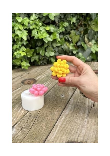 Concept Obtusa Sukulent Mum Kalıbı (Silikon)