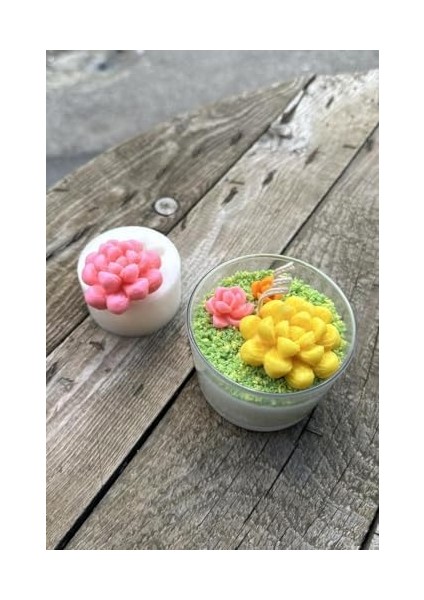 Concept Obtusa Sukulent Mum Kalıbı (Silikon)