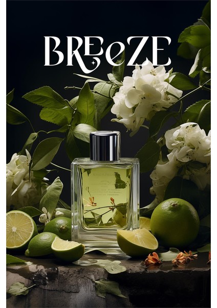 Breeze Auramax Koku Kartuşu 250 ML Premium Seri fırsatları