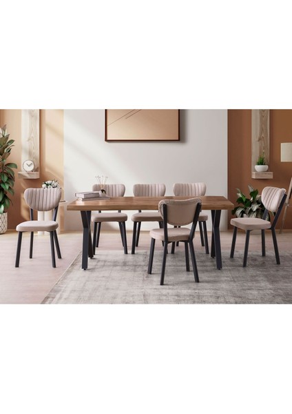 Olivya Sandalye, Siyah Metal