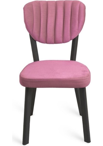 Olivya Metal Sandalye