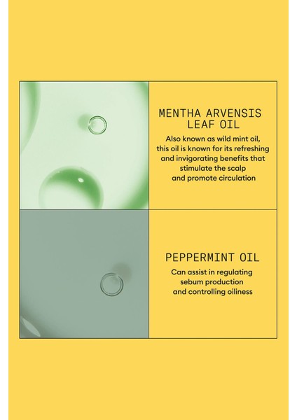 System 1 Saç Kremi - Işlem Görmemiş Hafif Ince Saçlar Için Kalınlaştırıcı Bakım 1000ML modelleri