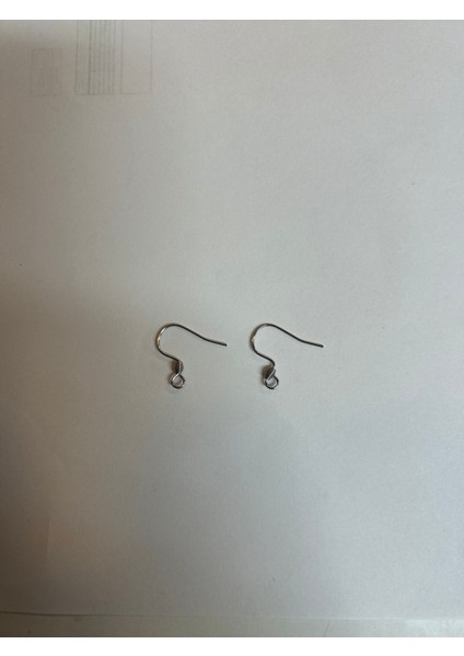 Küpe Kancası ,çelik Küpe Kancası (20 Adet)