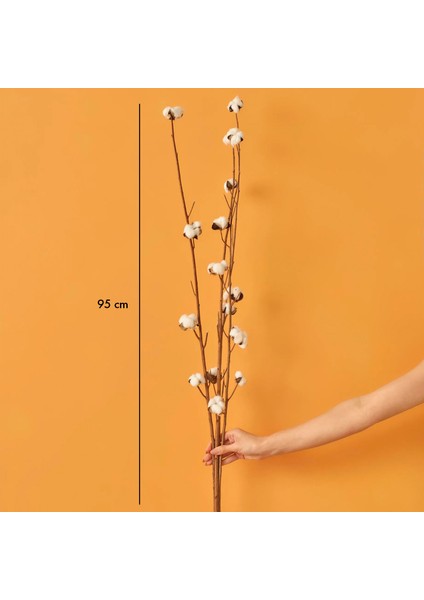 Cotton 4'lü Dal Buket (95 Cm)